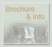 brochure and info
